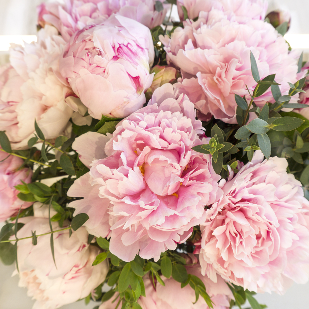 Pink Peony - Enchanted Floral Design Pink Peony - Enchanted Floral Design